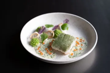 Pazzo 2026 januari LR 25