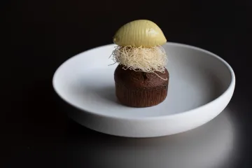 Pazzo 2026 januari LR 30