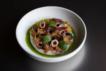 Pazzo 2026 januari LR 35