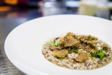 FREDERIK BEYENS Pazzo 20jaar 21